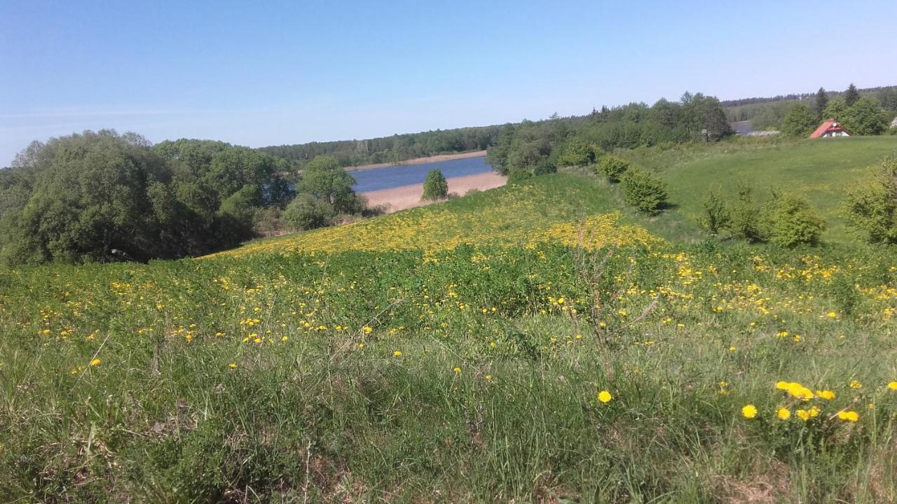 Domek Bialojany מראה חיצוני תמונה