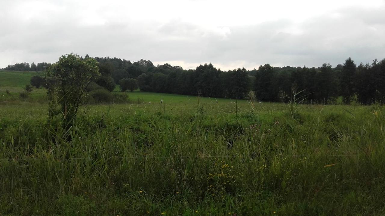 Domek Bialojany מראה חיצוני תמונה
